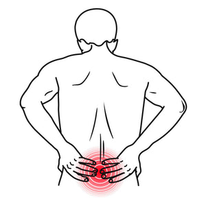 3 Important Aspects of A Low Back Guide