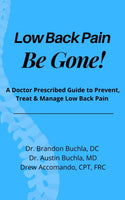 low back pain e-guide